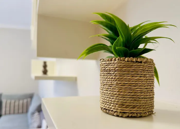 - Ggpremiumstays - In The Heart Of Center Cozy - Airport Shuttle - Private Parking *